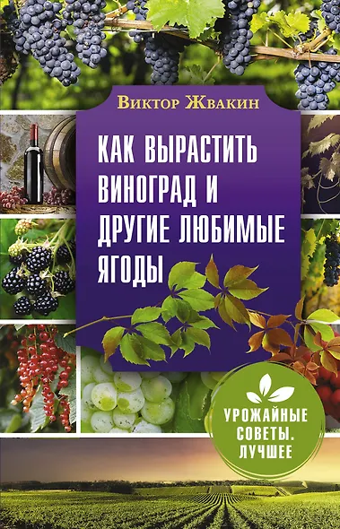 Как вырастить виноград и другие любимые ягоды. Простые и понятные инструкции для начинающих - фото 1