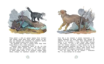 Синяя Птица - фото 3