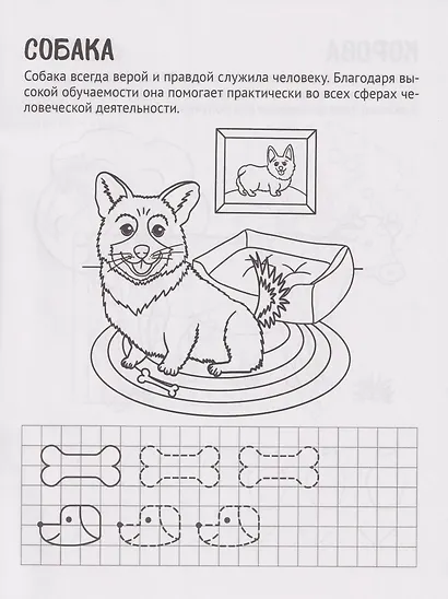 Готовим руку к письму. Раскраска с прописями. Домашние питомцы. Для детей 5-7 лет - фото 6