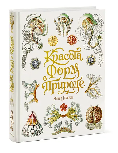 Красота форм в природе - фото 3