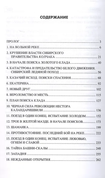 Шаманка: роман - фото 3