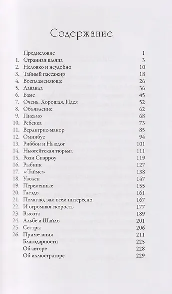 Детективное агентство неразрешимых дел. Похищение лунного камня - фото 2