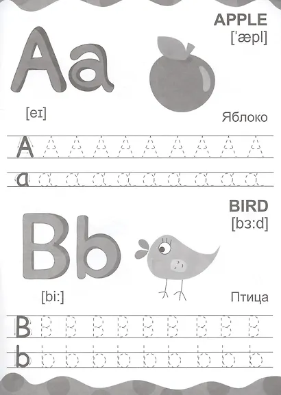 АНГЛИЙСКИЕ ПРОПИСИ эконом. ПИШЕМ БУКВЫ И ЦИФРЫ - фото 2