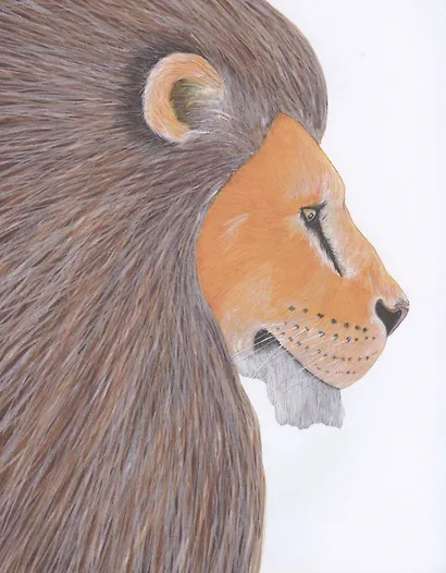 Большой вопрос маленького хамелеона - фото 6