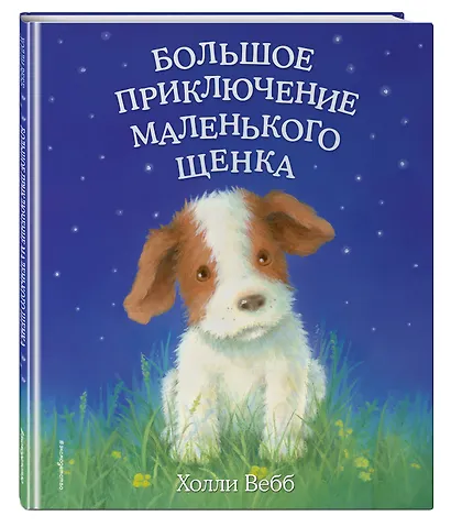 Большое приключение маленького щенка - фото 3