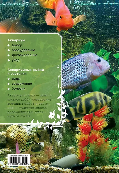 Аквариум для начинающих - фото 2