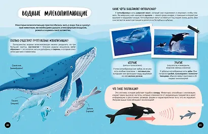 Что? Как? Почему? Мои первые знания про ЖИВОТНЫХ (с постером) - фото 6