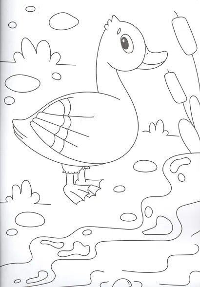 Животные. Большая суперраскраска - фото 3