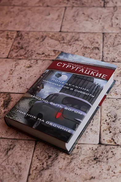 Понедельник начинается в субботу. Трудно быть богом. Пикник на обочин - фото 7