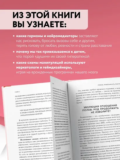 Мозг: азарт и любовь. Почему мы теряем голову от риска, игр, страсти и ревности - фото 7