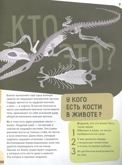 Поразительные животные: кости и скелеты - фото 5