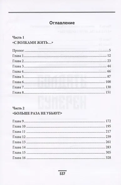 Солдаты сумерек - фото 2