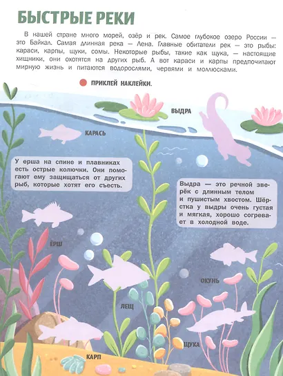 Животные России: книжка с наклейками - фото 5