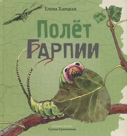 Полет Гарпии - фото 1