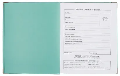 Дневник шк. "Мятный" кожзам, интегр.переплёт, тиснение фольгой, пантон, мет.уголки, одно ляссе, универс.шпаргалка - фото 3