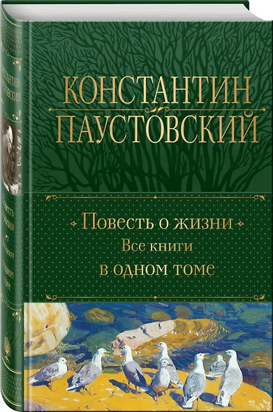 Повесть о жизни. Все книги в одном томе - фото 3