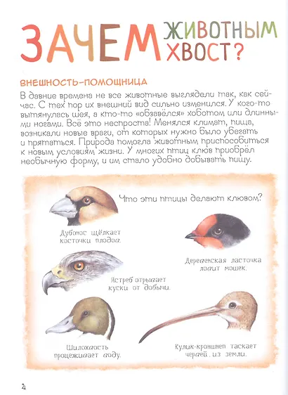 Удивительный мир животных. Энциклопедия для малышей - фото 4