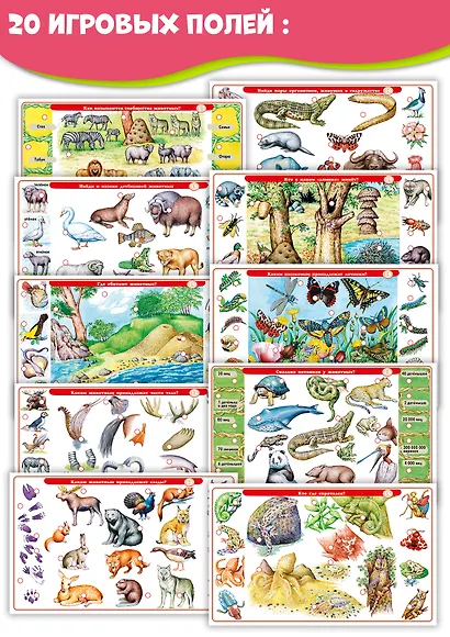 Электровикторина.Дрофа-Медиа Детям о животных - фото 9