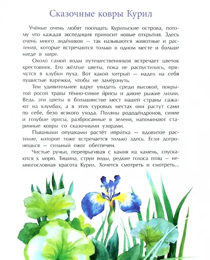 Курилы. Самый край Российской земли - фото 4