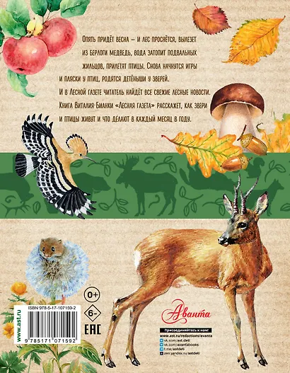 Лесная газета - фото 2