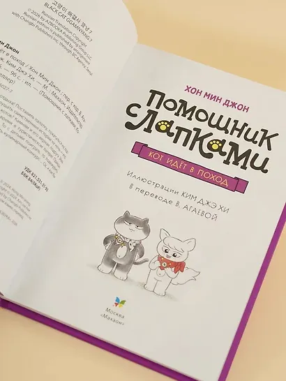 Кот идёт в поход - фото 9