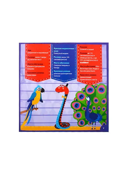 Кто самый яркий? - фото 4