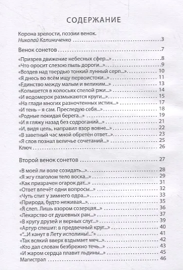 Диптих. Стихи. Сонеты (книга-перевертыш) - фото 5