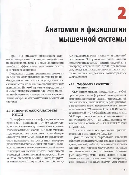 Спортивный массаж и вспомогательные приемы - фото 6