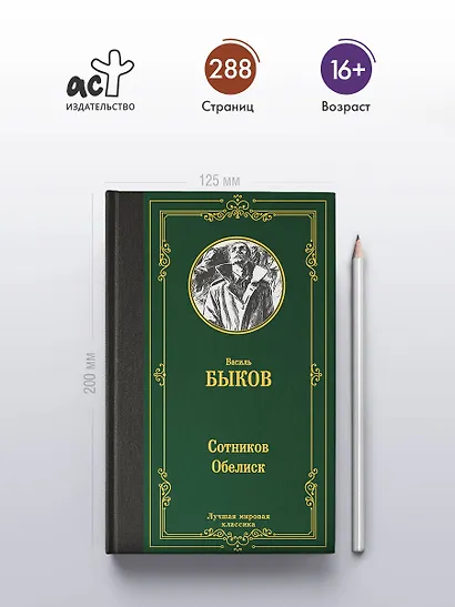 Сотников. Обелиск - фото 4