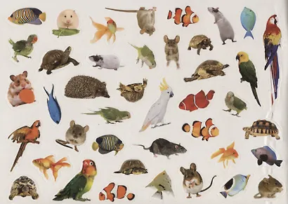 250 наклеек. Домашние животные - фото 3