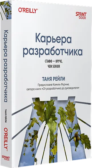 Карьера разработчика. Стафф - круче, чем senior - фото 2