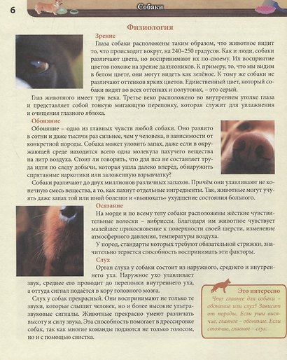 Собаки. Энциклопедия - фото 5