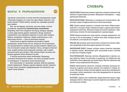 Насекомые. Мир крылатых, многоногих и жужжащих - фото 7