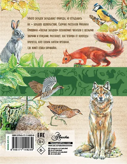 Лесные загадки - фото 2