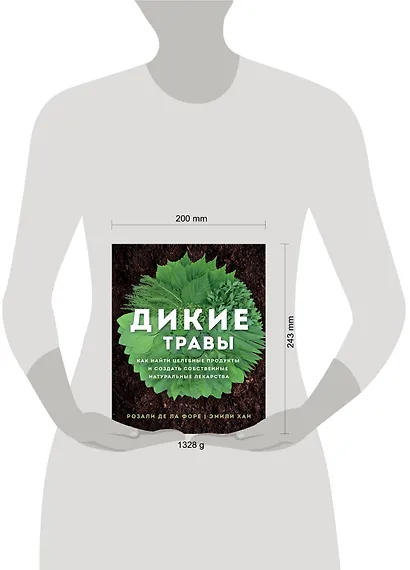 Дикие травы: как найти целебные продукты и создать собственные натуральные лекарства - фото 13