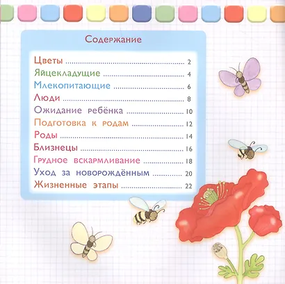 Как мы устроены. Откуда мы появляемся - фото 2