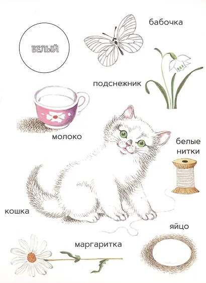 Моя первая книжка о цвете - фото 5