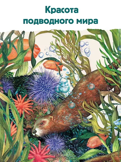 Подводный мир: Исследуй 15 различных акваторий Земли - фото 5