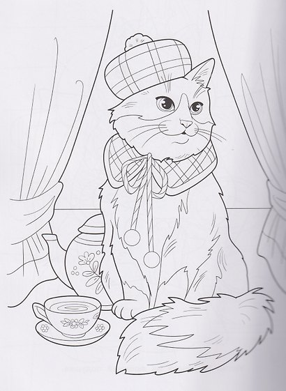 Котики - фото 3