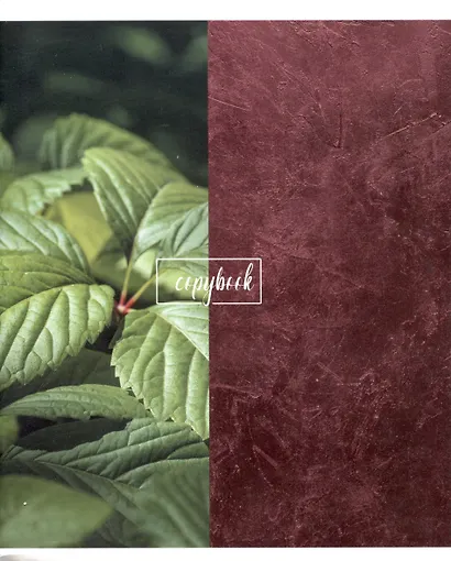 Тетрадь в клетку Listoff, "Зов джунглей", 96 листов, в ассортименте - фото 3