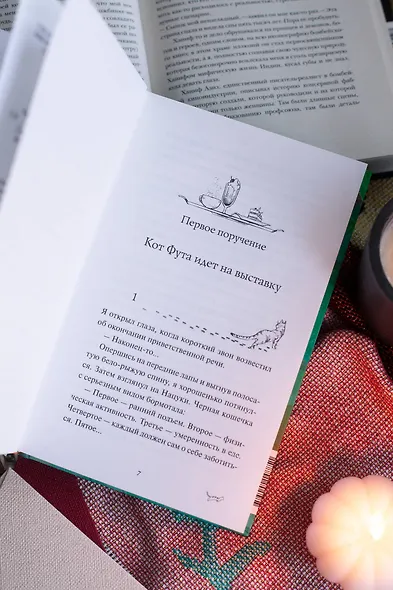 Рыжий кот Фута из кафе между мирами - фото 11