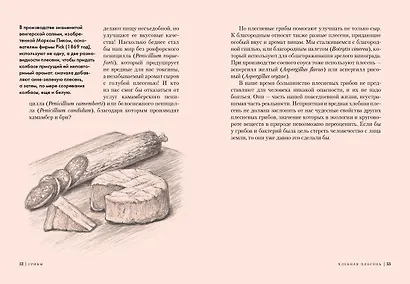 Грибы: Обитатели скрытого мира - фото 4