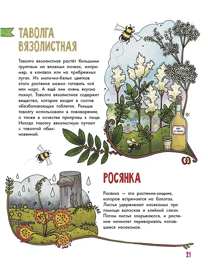 Цветы и растения - фото 10