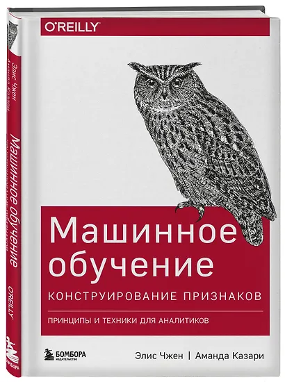 Машинное обучение: Конструирование признаков. Принципы и техники для аналитиков - фото 3