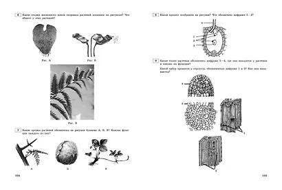 ЕГЭ-2024. Биология. Тематические тренировочные задания - фото 6