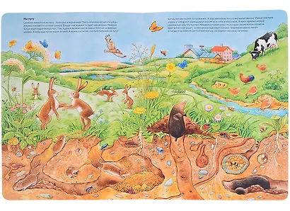 Мир животных. Виммельбух - фото 3