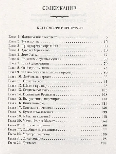 Куда смотрит прокурор? - фото 2