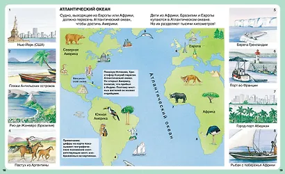 Тайны моря - фото 5