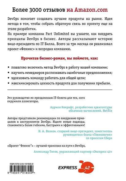 Проект "Феникс". Как DevOps устраняет хаос и ускоряет развитие компании - фото 2