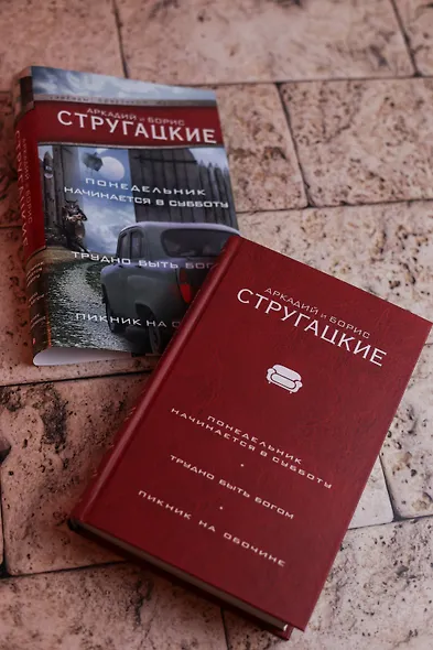 Понедельник начинается в субботу. Трудно быть богом. Пикник на обочин - фото 9